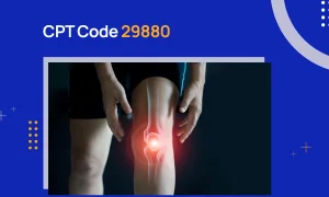 CPT Code 29880